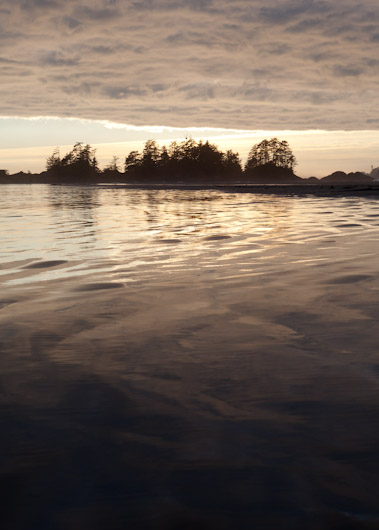 Tofino Sunset