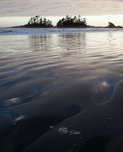 Tofino Detail