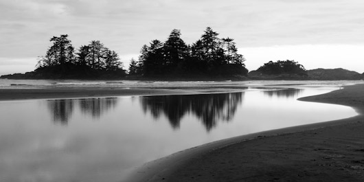 Tofino Reflection